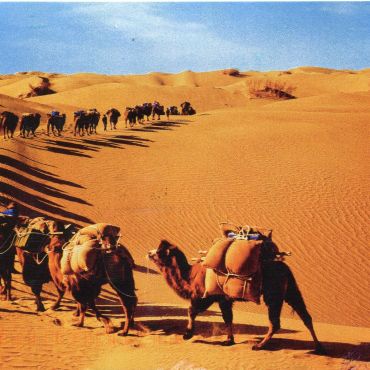 China-xinjiang-Desert-Caravan